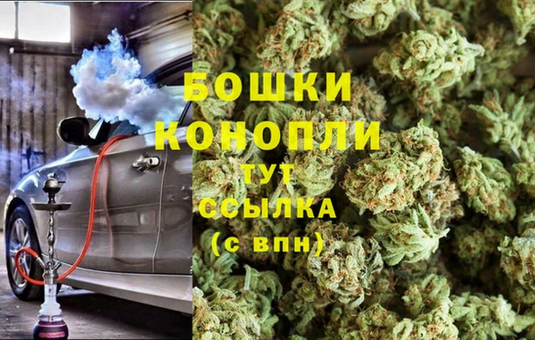ГАЛЛЮЦИНОГЕННЫЕ ГРИБЫ Балабаново