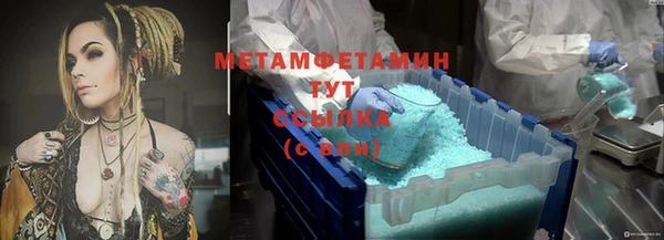 трава Аркадак