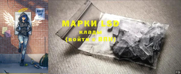 трава Аркадак