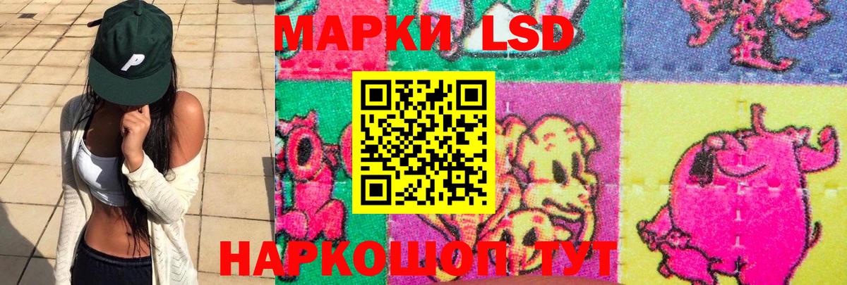 LSD-25 экстази кислота  ЛСД экстази кислота  Новомосковск    ссылка  Вход с VPN 