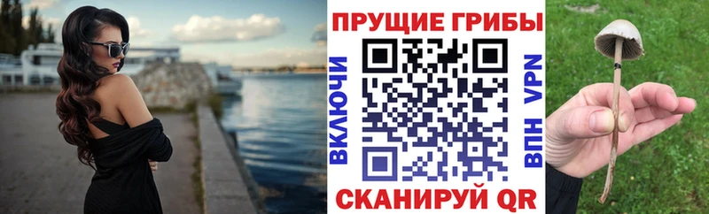 Галлюциногенные грибы прущие грибы где найти Новомосковск