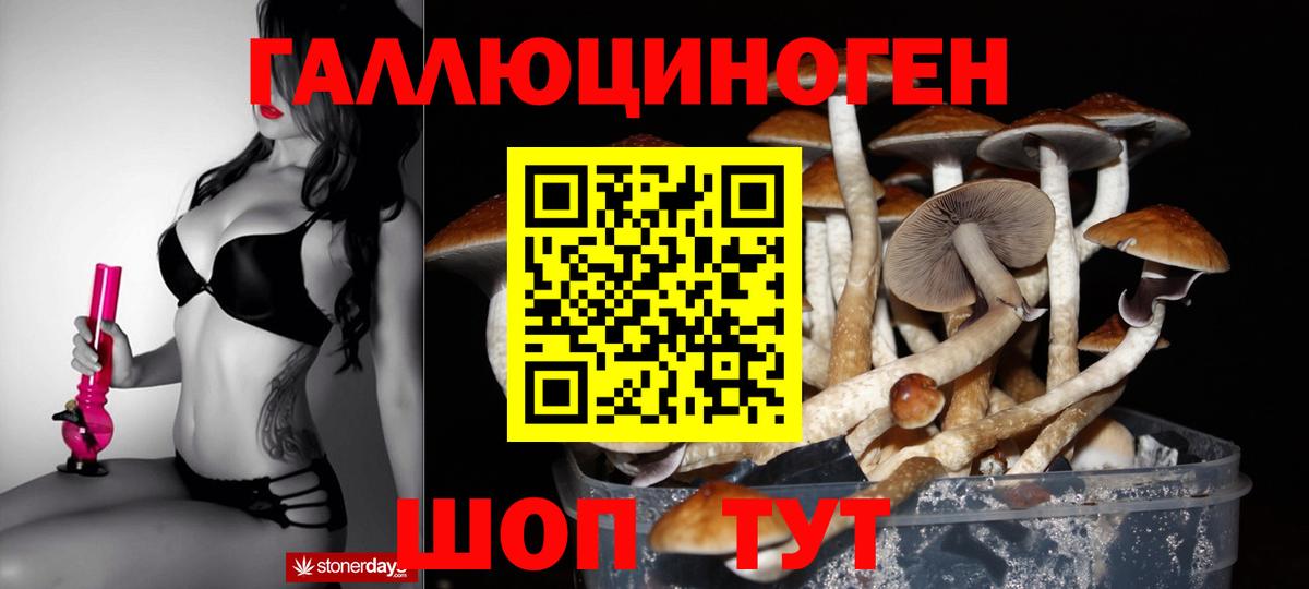 Галлюциногенные грибы GOLDEN TEACHER  Вход с VPN  Новомосковск 
